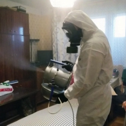 Дезинфекция от клопов в Светлом