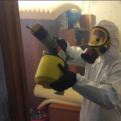 Уничтожение клопов в квартире. Светлый